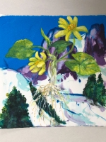20-celandineflowerroot